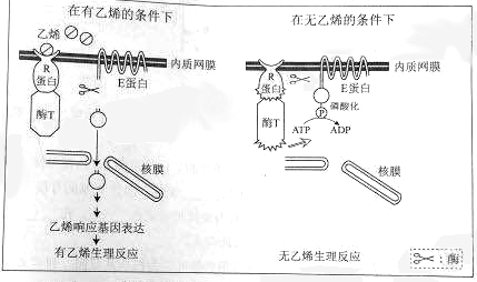 2019年高考理综压轴模拟试题(含答案) 2019年高考理综压轴模拟试题(含答案)