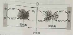 2019福建高考理综试题【word精校版】 2019福建高考理综试题【word精校版】