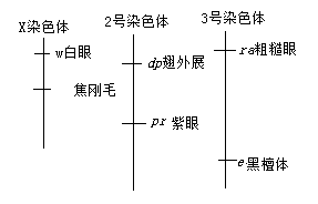 2019湖南高考理综试题及答案【word真题试卷】 2019湖南高考理综试题及答案【word真题试卷】