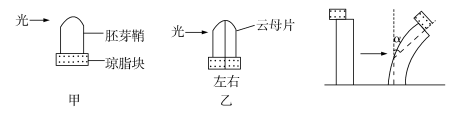 2019内蒙古高考理综试题【word精校版】 2019内蒙古高考理综试题【word精校版】