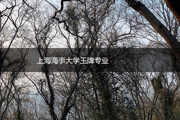 上海海事大学王牌专业 上海海事大学王牌专业