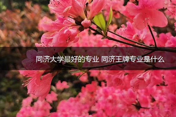 同济大学最好的专业 同济王牌专业是什么 同济大学最好的专业 同济王牌专业是什么