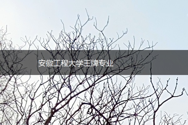 安徽工程大学王牌专业