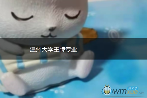 温州大学王牌专业 温州大学王牌专业
