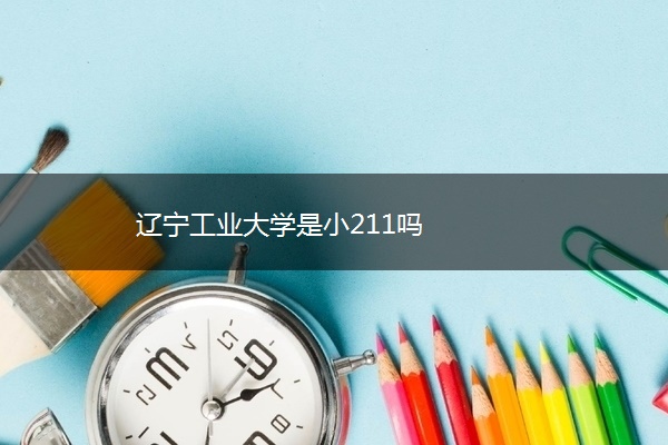 辽宁工业大学是小211吗