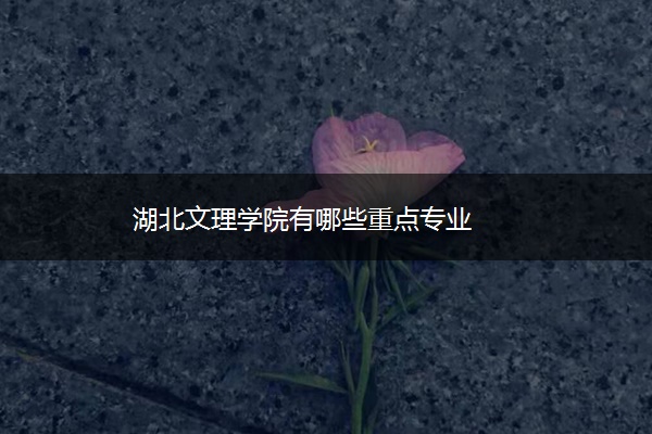 湖北文理学院有哪些重点专业