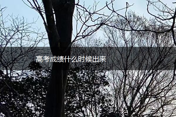 高考成绩什么时候出来 高考成绩什么时候出来