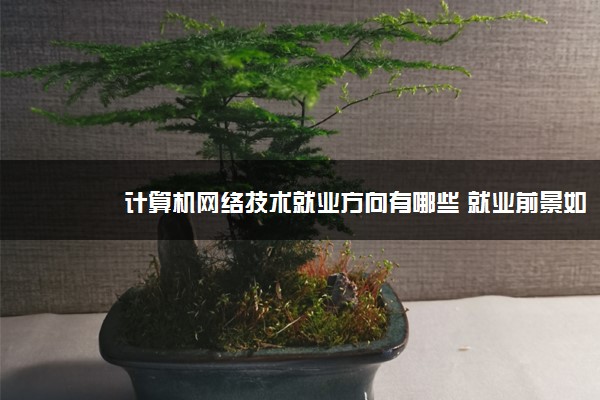 计算机网络技术就业方向有哪些 就业前景如何 计算机网络技术就业方向有哪些 就业前景如何