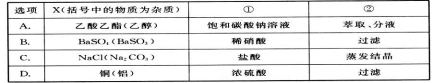 衡水金卷2021年高考模拟押题卷理综试题 衡水金卷2021年高考模拟押题卷理综试题
