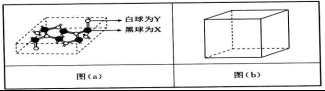 衡水金卷2021年高考模拟押题卷理综试题 衡水金卷2021年高考模拟押题卷理综试题