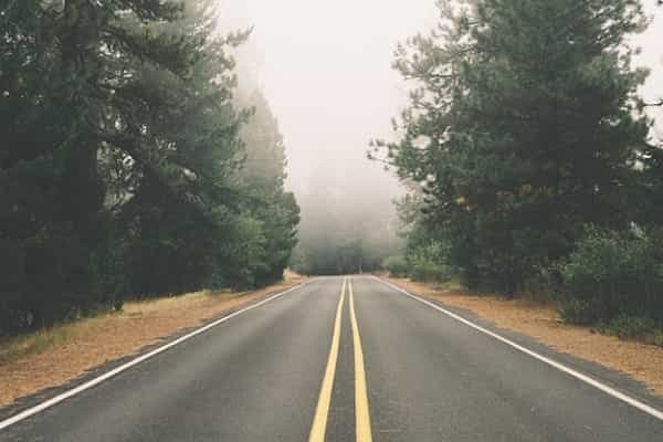 黑龙江开设草业科学专业大学有哪些 相关专业推荐（2026参考）